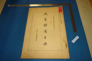 Art hand Auction Rarebookkyoto F4B-643 ما قبل الحرب Yushouping/Oxiangguan كراسة الرسم مجموعة الروائع الصينية المجلد 67 مكتب كتب شنغهاي Youzheng حوالي عام 1920 تحفة فنية, تلوين, اللوحة اليابانية, منظر جمالي, الرياح والقمر