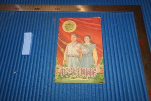 Art hand Auction rarebookkyoto F5B-672 Nuevas reglas y regulaciones de la escuela secundaria de China Ilustraron la belleza popular de Shanghai alrededor de 1956 La fotografía es historia, Cuadro, pintura japonesa, Paisaje, viento y luna