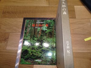 Art hand Auction Rarebookkyoto 1FB-85 야쿠스기 숲 사진집 쿠사다 기요시, 1983년경, 걸작, 걸작, 그림, 일본화, 풍경, 바람과 달