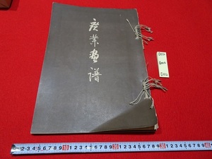 rarebookkyoto D112　廣業畫譜　1914　大正三年　合名会社　芸艸堂　寺崎廣業　日本　書画　畫集　　