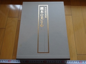 Rarebookkyoto　文化財写真集　熊本の美と心　熊本日日新聞社　1984年　菊池武朝　阿蘇神社　如意輪観音