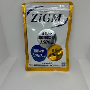 【亜鉛600mg最高配合】 ZiGMα ジグムアルファ 120粒 約1カ月分 現役専門医開発監修 サプリメント