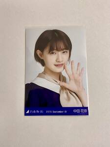  Nogizaka 46 средний рисовое поле цветок .2019 September Ⅳ life photograph 