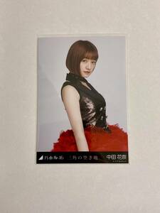 乃木坂46 中田花奈 三角の空き地 生写真