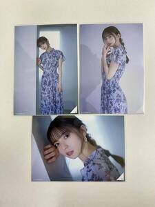  Nogizaka 46. wistaria . bird . industry memory life photograph 1