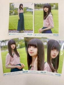  Nogizaka 46. wistaria . bird .. road is . around did . become selection .ver life photograph 5 pieces set 