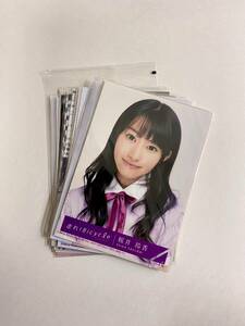  Nogizaka 46 Sakura ... life photograph approximately 15 pieces set 