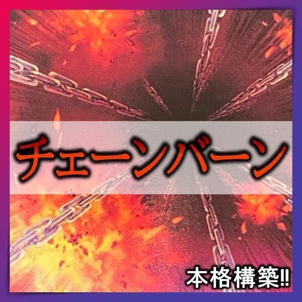 No.266 チェーンバーン デッキ 遊戯王 本格構築