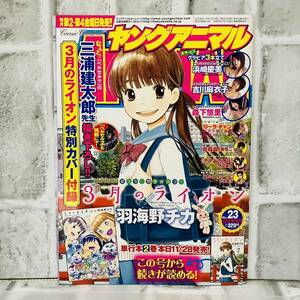 雑誌 切り抜き ヤングアニマル 2008 12/12 No.23 浜崎慶美 吉川麻衣子 森下悠里 芸能人 タレント グラビア モデル 女優 週刊誌 水着 A51509