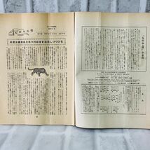 【古本】昭和31年 ものみの塔 第6巻 第23号 ものみの塔聖書冊子協会 結婚 宗教 キリスト ものみの塔 エホバの証人 思想 歴史 資料 A5750_画像5