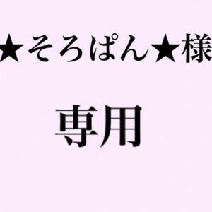 ★そろさん★様専用　布/生地　No,150 ハンドメイド ゆうバケットポストmini