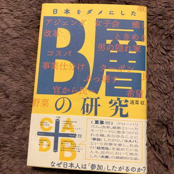 日本をダメにしたＢ層の研究 適菜収／著