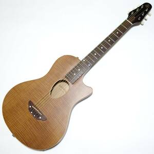 ESP BambooInn-CE Charプロデュース ピエゾピックアップ内蔵 アコースティックギター