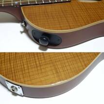 ESP BambooInn-CE Charプロデュース ピエゾピックアップ内蔵 アコースティックギター_画像10