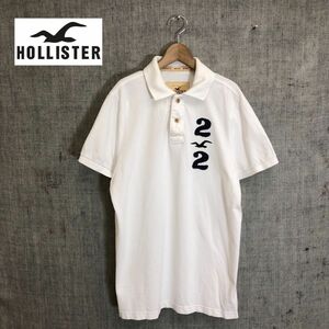 G1279-T◆HOLLISTER ホリスター ポロシャツ 半袖 ハーフボタン 刺繍 パッチ プルオーバー◆sizeL ホワイト メンズ トップス コットン100