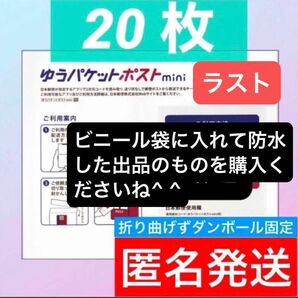 ラスト　ゆうパケットポストmini 専用　封筒　20枚