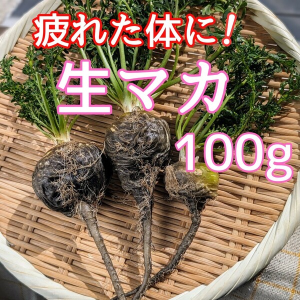 【希少野菜！】生マカ 100g【スーパーフード！】