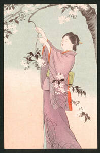 Art hand Auction Woman Picking Cherry Blossoms: Prewar Art Postcard KW: Beauty Portrait, Kimono, Illustration, Painting, Period, Printed materials, Postcard, Postcard, others