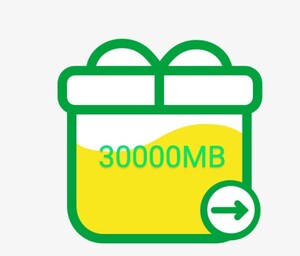 マイネオ パケットギフト 30000MB mineo　約30GB②