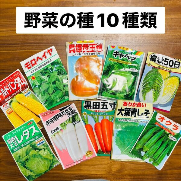 野菜の種 10種類　夏野菜　家庭菜園