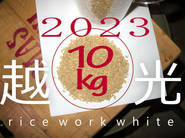 新米2023 送料無料 栃木県産コシヒカリ 10kg 2023年産　白米　単一原料米 　riceworkwhite 　1