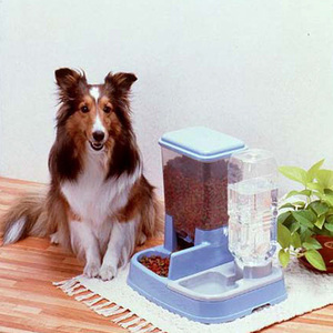  new goods [ automatic feeder ] automatic waterer * blue 