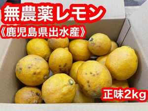 無農薬レモン　鹿児島県出水産　正味2kg