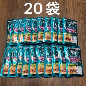 ピュリナワン 室内飼い猫用 1歳以上 チキングレービー仕立て 50g×20個