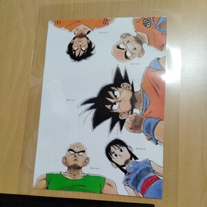 ドラゴンボール イラスト 鳥山明A4ラミネート雑誌切り抜きポスターインテリア広告ヤムチャ