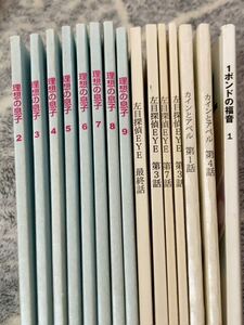 * not for sale * ideal. .. left eyes ..EYE 1 pound. luck sound kai n.a bell drama decision . preparation . script 15 pcs. Yamada Ryousuke height . one raw old rice field new futoshi .. paste .