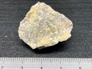 燐バリウムウラン石 燐バリウムウラン鉱 Uranocircite ドイツ産 原石 鉱物