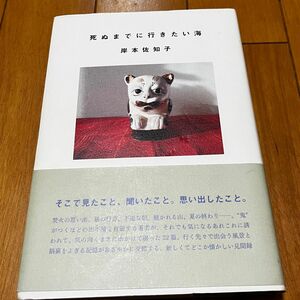 死ぬまでに行きたい海/岸本佐知子