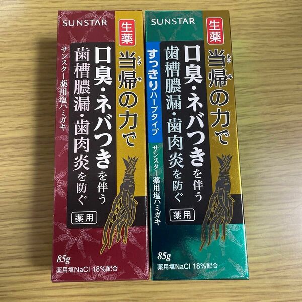 サンスター 薬用塩ハミガキ 2本セット