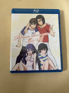 君のいる町　北米版Blu-ray box