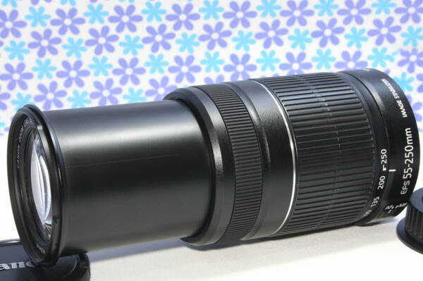 極上美品★Canon キャノン EF-S 55-250mm IS Ⅱ★手振れ補正★超望遠レンズ★送料無料★