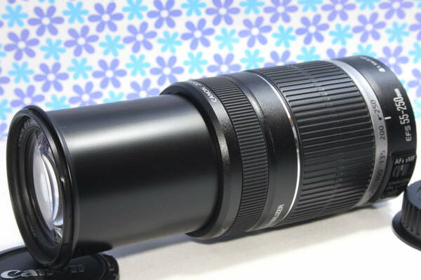 極上美品★Canon キャノン EF-S 55-250mm IS★手振れ補正★超望遠レンズ★送料無料★