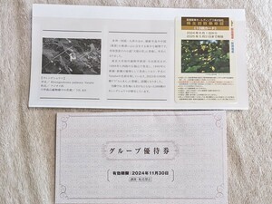 * newest * including carriage *. sudden Hanshin stockholder number of times get into car proof 10 times card 2025/5/31 till valid * group complimentary ticket attaching *. sudden train Hanshin train * stockholder hospitality 