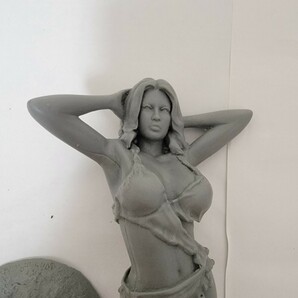ジャンク SOL MODEL 1/9 JIN バストモデル、詳細不明 女性 2点セット レジンキットの画像2