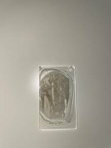 貨幣石石灰岩の偏光顕微鏡薄片