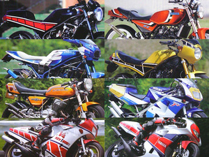 2スト 特集 雑誌 平レーシング TZR250 RZV500R NSR250R SP RG400γ SDR200 TDR250 RZ250R KSR-2 KH250 GR50 RG500γ RG400γ CRM250AR KDX