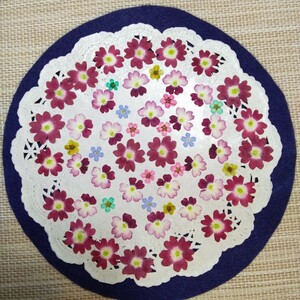  pressed flower material * verbena small flower fully (^o^)/ Part 1