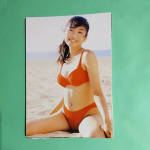 佐藤江梨子Lサイズ写真10枚