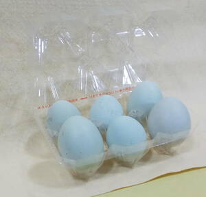  free shipping egg sale Arrow kana series Mix male female ...... flat .. production . length egg have . egg 6 piece meal for .. for 