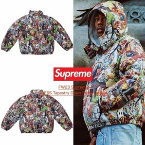 Supreme x BLESS Tapestry Down Puffer Jacket size i M