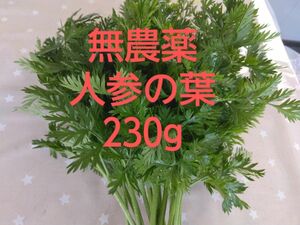 無農薬ニンジン葉っぱ230g