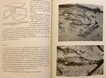 洋書 新疆ウイグル自治区の考古学研究: ロプノール地域 Archaeological researches in Sinkiang 1939 ●考古学 スベン・ヘディン 小河墓地_画像6