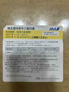 ANA 全日空 株主優待券 1枚　有効搭乗期間 2024年11月30日まで