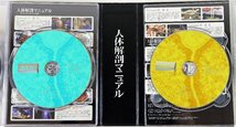 S◇中古品◇DVD 人体解剖マニュアル 完全版DVD-BOX DXDB-0026 デックス 11枚組 監修 布施英利/養老孟司/茂木健一郎 ※ケース破れ_画像8