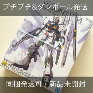 同梱発送可 新品未開封 MG マスターグレード 1/100 νガンダム Ver.Ka ニューガンダム