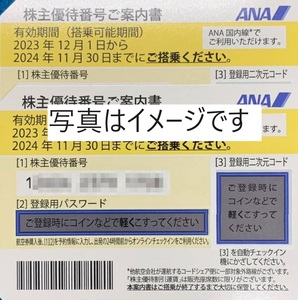  ANA 株主優待券　2枚　有効期限2024年11月30日搭乗分まで　番号通知のみ